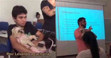 aluna cachorra|Vídeo: aluna leva cachorrinha para aula, explica。